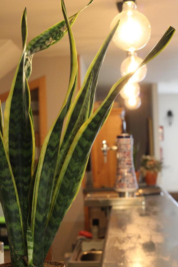 Hostal As Margaritas Santiago de Compostela Ngoại thất bức ảnh